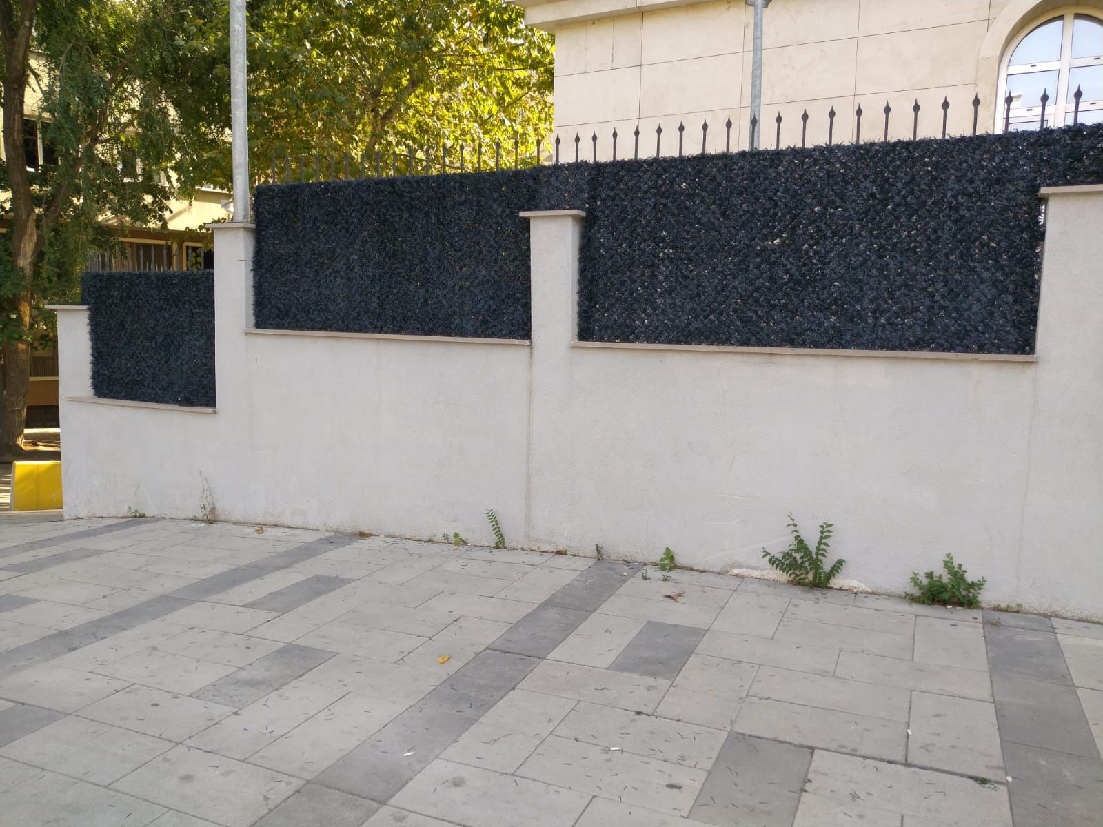 Çim Çit