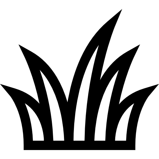 Çim Çit